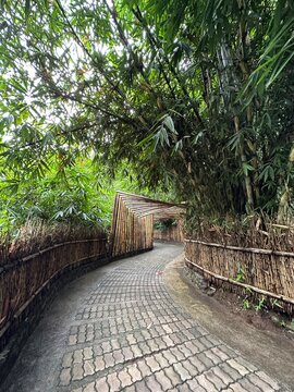 wooden gate in the park