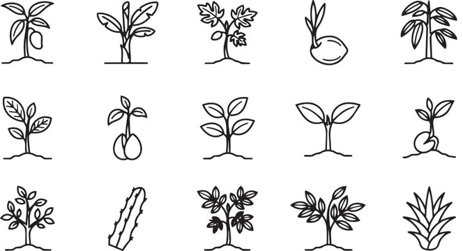 Set of hand drawn plant growth and seedling icons