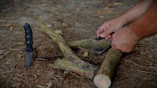 Bushcraft hands prepping tinder wood log for campfire ignition with natural audio soundscape. Close up shot of wilderness survival skills, outdoor camp preparation, fire making tutorial.