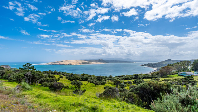 Panoramablick vom Pakia Hill Lookout auf den Hokianga Harbour und die Sandd&uuml;nen von Te Pouahi nahe Omapere, Northland, Neuseeland