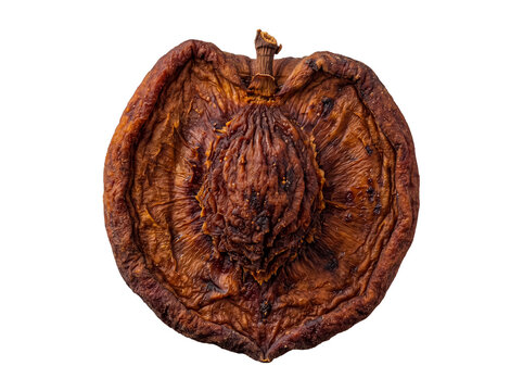 Close-up macro shot of a dried, shriveled peach or apricot half, showing the rough texture and pit detail.