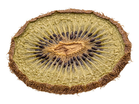 Vibrant close-up of a round dried kiwi slice with visible seeds, featuring its unique texture.