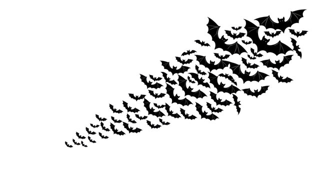 Abstract black bird flock silhouette, flying birds pattern in motion, minimal wildlife background for design and texture PNG