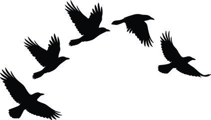 Fototapeta premium Bird silhouettes in flight motion, graceful wing positions vector illustration design