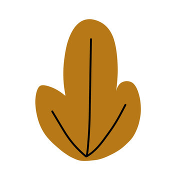 vector illustration of a leaf autumn