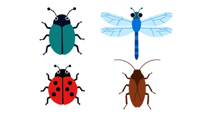 Colorful insect set with beetle dragonfly ladybug and roach © Andrei
