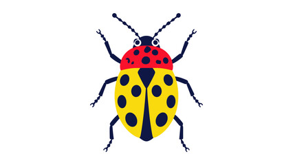 Colorful ladybug insect isolated on white background © Andrei
