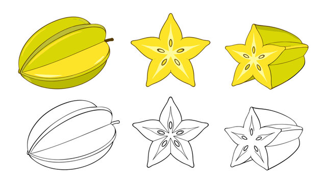 Starfruit whole and sliced vector set with outline drawings