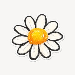 Obraz premium Hand-drawn daisy flower illustration.