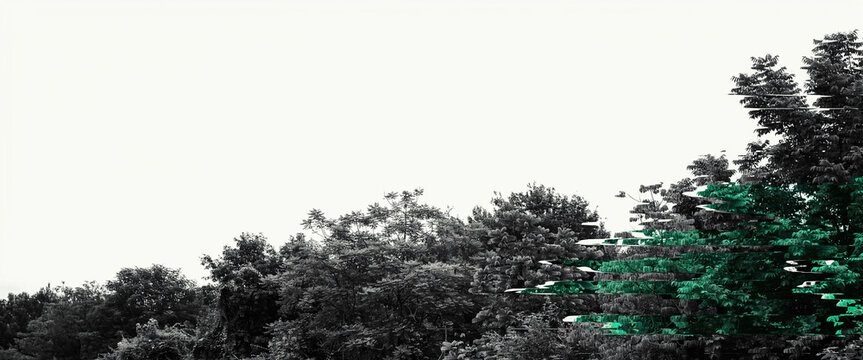 Trees with glitch effect a monochromatic landscape with selective color and digital distortion