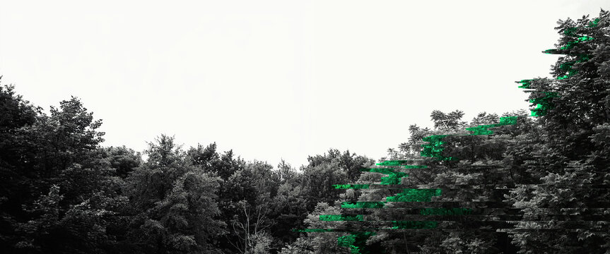 Trees with green digital glitch effect against a stark white background showcasing contrast