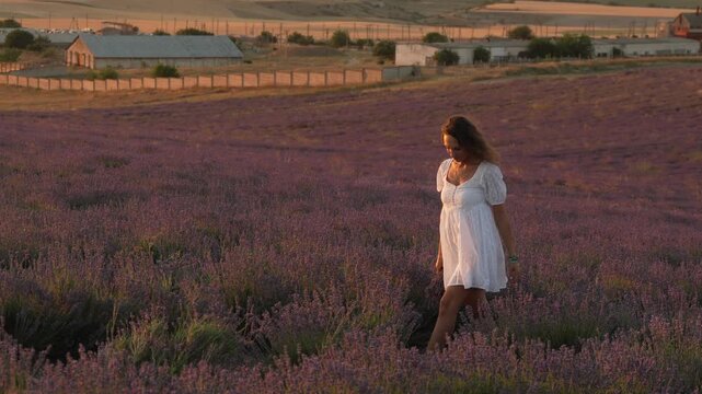 Lavender woman walking serene field at golden sunset holding bouquet. Panning shot.