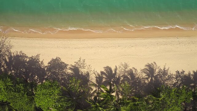 Tropical beach in Thailand with turquoise ocean water gently washing golden sand, long palm trees shadows creating a serene background perfect for travel and relaxation concepts. Aerial top down view