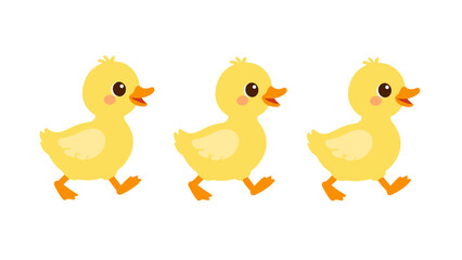 Naklejka premium Three cute yellow ducklings walking in a row on white