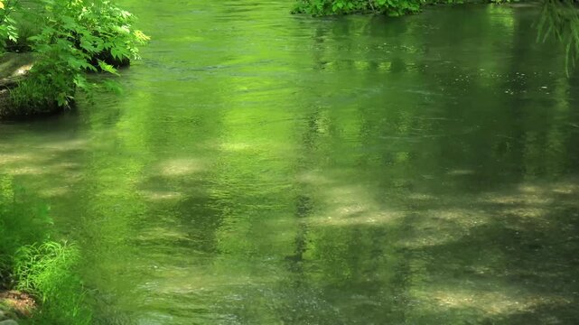 奥入瀬渓流、青森、日本