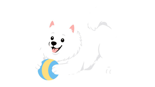 White fluffy dog playing with a blue and yellow ball
