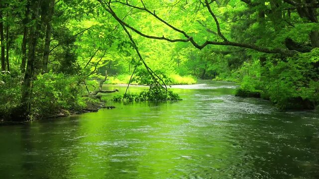 奥入瀬渓流、青森、日本