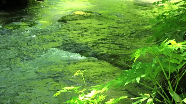 奥入瀬渓流、青森、日本