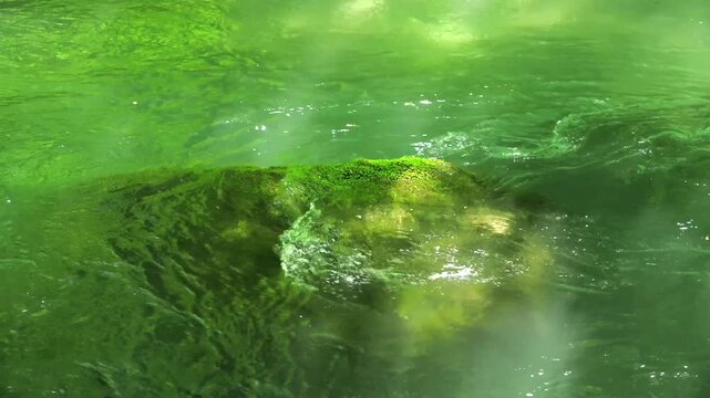 奥入瀬渓流、青森、日本