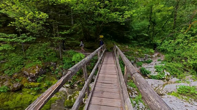 Hyperlapse walking through lush forest trails in &Scaron;unik Water Grove, Lepena Valley, Slovenia, hiking, outdoor adventure and nature.