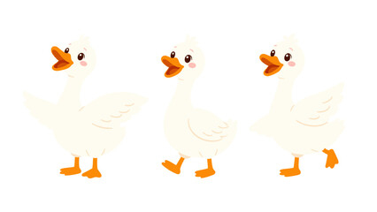 Cute white goose cartoon character set in different poses © icon_art