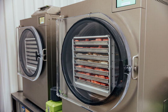 Stainless steel freeze dryers process sliced fruits and vegetables on stacked trays inside a clean production facility, with copy space