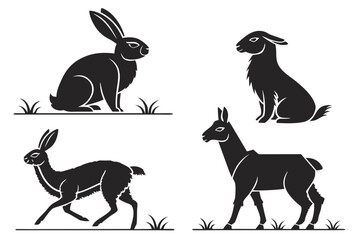 Fototapeta premium Four black and white animals sitting and standing on grass