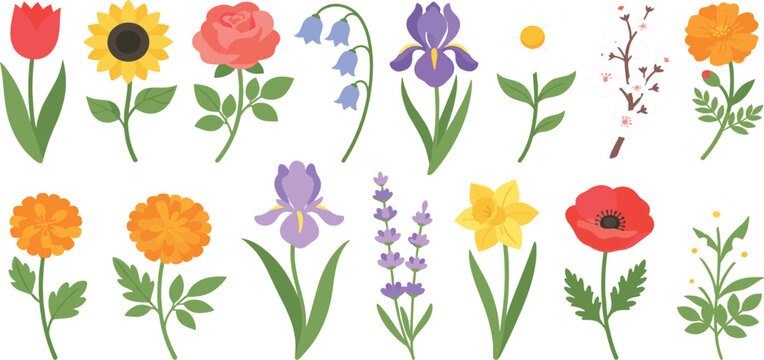 Colorful flat vector flower icon set with tulip sunflower rose and garden botanical elements,