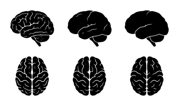 Set of Six Black Brain Icons, Human Anatomy Vector Graphics, Medical Science and Neurology Concepts, Cerebral Cortex Illustrations