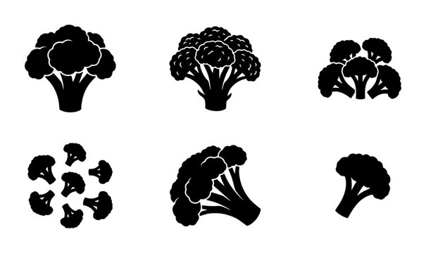 Broccoli Icons Set, Fresh Vegetable Silhouettes, Healthy Food Graphics, Organic Produce Vector Collection