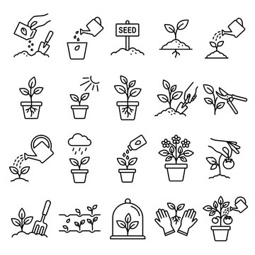 Gardening icons set: planting, watering, and growth
