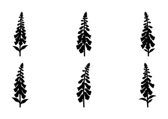 Digitalis Foxglove Silhouettes, Botanical Vector Illustrations, Wildflower Plant Graphics, Garden Floral Elements, Nature Art Collection © Tanvir