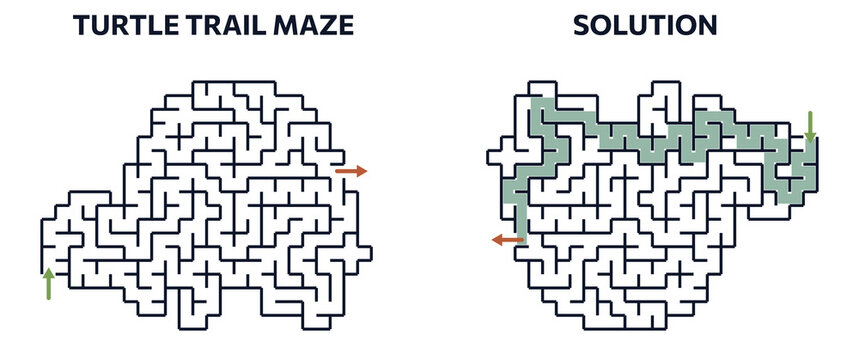 Turtle trail shape Pet children activity maze with green solution and blank version for kids workbook.