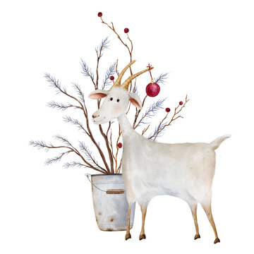 Christmas white goat with red bauble standing next to rustic metal bucket with bare twigs and blue-toned pine branches. Hand drawn watercolor illustration for winter holiday design.
