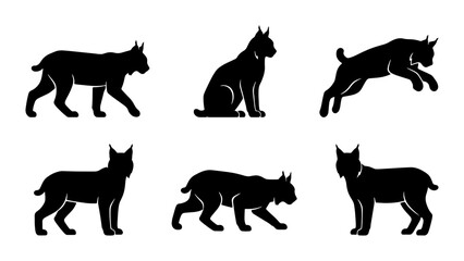 Lynx Silhouette Collection, Wild Cat Vector Icons, Feline Animal Poses, Graphic Design Elements, Black and White © Farzana
