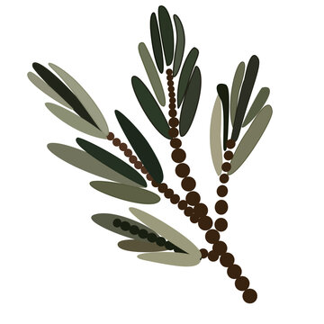 Dotwork Minimal botanical illustration of a juniper berry branch with elongated green leaves and decorative berries isolated on a white background