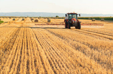 Agricultural tractor spraying harvested wheat stubble field near corn crop at sunset © Dusan Kostic