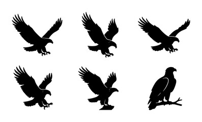 Fototapeta premium Six Silhouette Eagle Vector Icons, Majestic Bird Flight Poses, Predatory Raptor Graphic Elements, Wildlife Symbol Collection