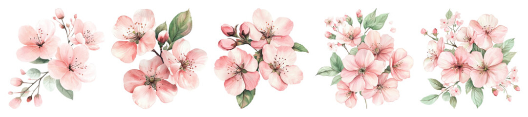Naklejka premium PNG Delicate watercolor cherry blossoms illustration on transparent background