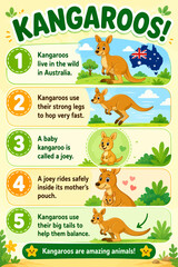 Fototapeta premium Cartoon infographic poster about kangaroos for children, with five numbered facts on living in Australia, hopping, joeys, the mother's pouch and balancing with tails.