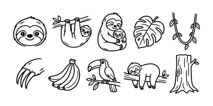 Cute tropical sloth doodle element set featuring toucan leaf banana branch tree and claw, vector illustration
