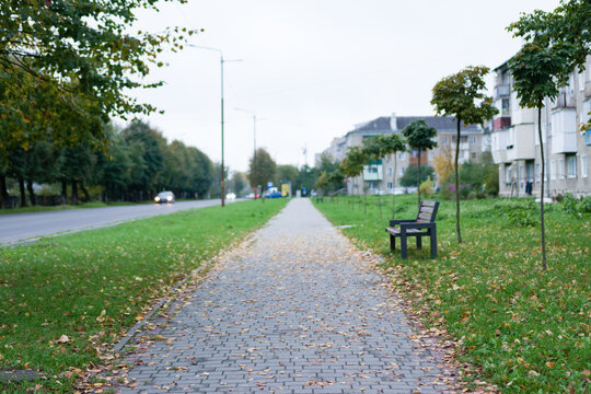 Serene pathway lined with trees and autumn leaves on a calm overcast day in an urban setting