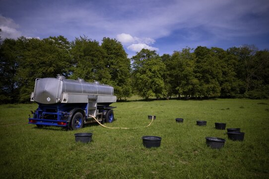 Water barrel wagon, water tank, mobile, for sheep, flock of sheep, R&ouml;merstein, former military training area M&uuml;nsingen, Swabian Alb biosphere reserve, Baden-W&uuml;rttemberg, Germany