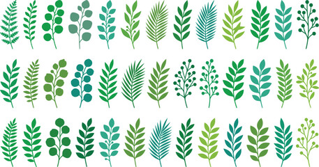 Green botanical leaves, organic foliage branches, fern palm eucalyptus sprigs, nature berry twigs, eco floral garden decorative elements © MdJafrul
