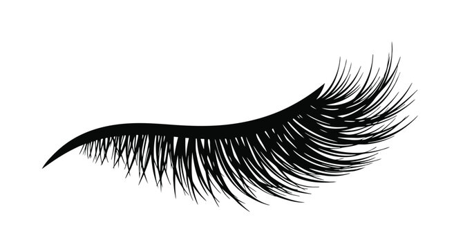 Lush long false eyelashes for makeup beauty salon vector illustration isolated on white background, close up view.