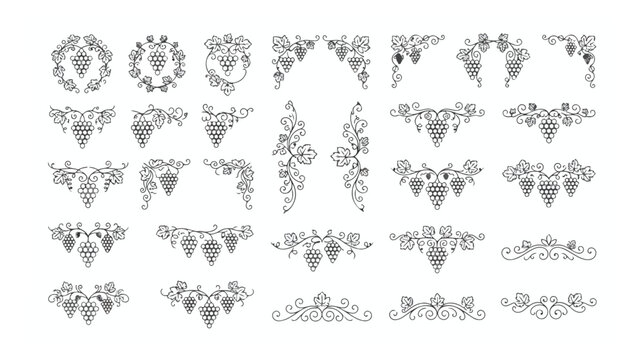 Vintage grape vine ornaments and floral dividers, set of 25 decorative vineyard borders and wine labels, elegant black line art vector flourishes