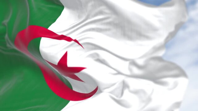 Close-up of Algeria national flag waving on a clear day