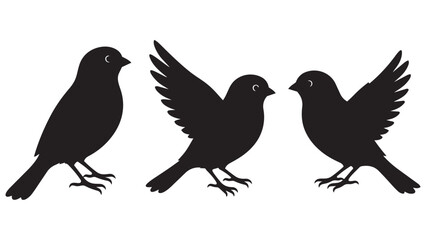 Fototapeta premium Black Silhouette Birds Illustration Set of Three in Different Poses for Design, Logo, Branding, and Nature Projects