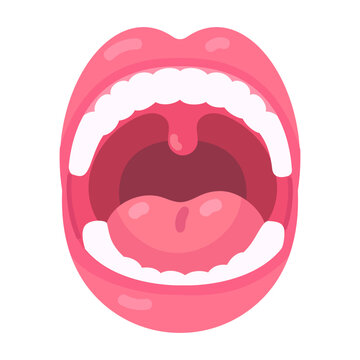 Bright illustration of human oral anatomy with a wide open mouth revealing tongue, teeth, and uvula