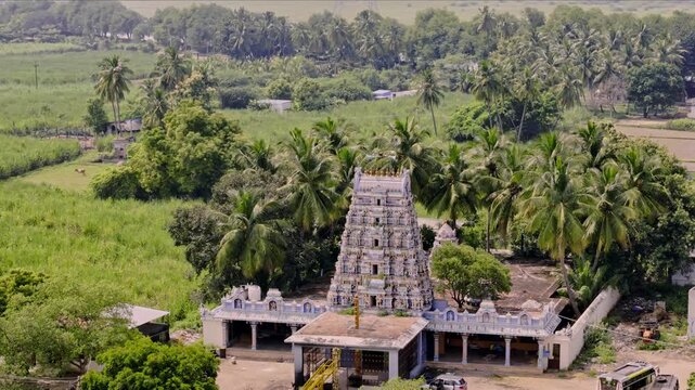 Aerial drone shot of Hindu temple surrounded by coconut trees, farmland and rural landscape with traditional gopuram rising above greenery during daytime in Theni, Tamil Nadu, India